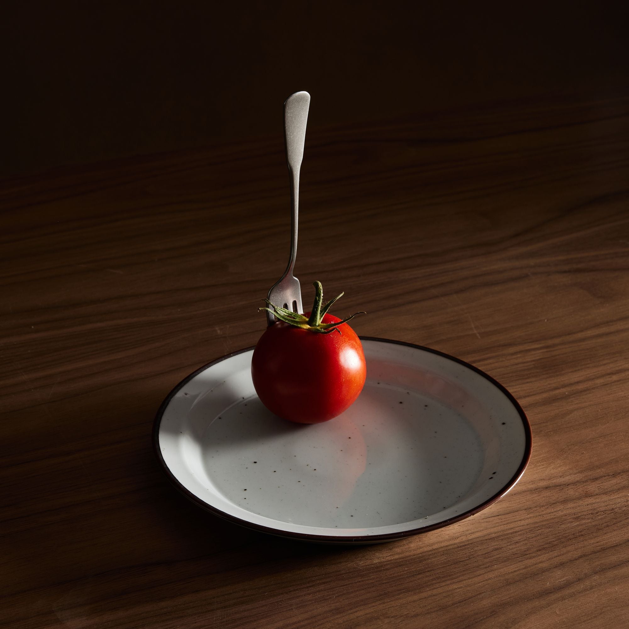 Dansk Generation Dinnerware